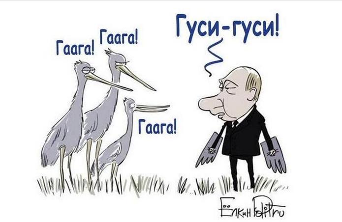 О Гааге, Путине, $50 млрд ЮКОСу и длине веревочки