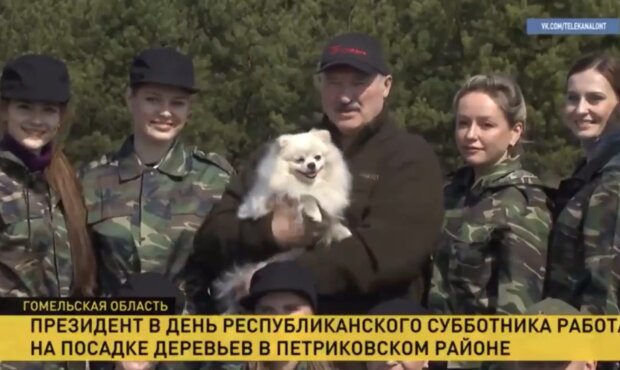 В Сети появилось видео с позирующим Лукашенко во время "антикоронавирусного" субботника