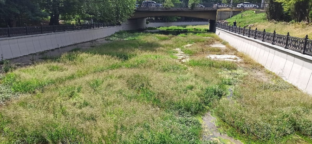 «Помогите спасти Крым! Мы такой россии не ждали и не хотели!»