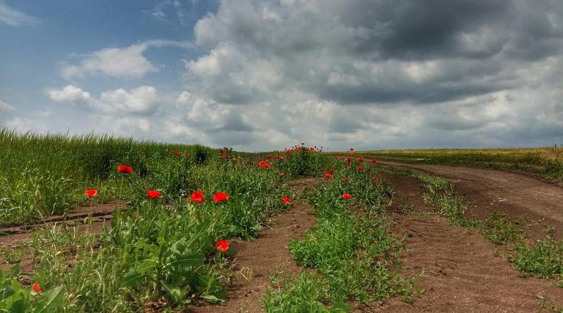 Вчера Колокол Памяти ударил 61 раз… (видео)