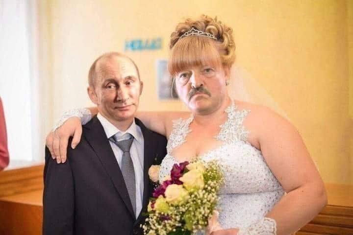 «Ещё одна собачья свадьба…»