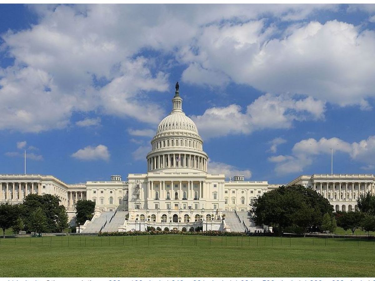 В США готовят закон, направленный на активы Путина и его окружения после отравления Навального