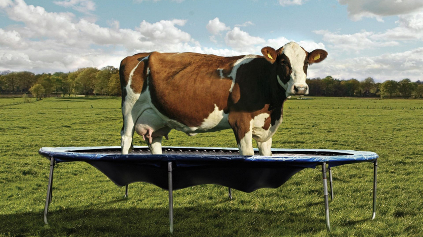 СКРЕПОПАНОРАМА: ОТБАТУТИТЬ ПЛАНЕТУ!