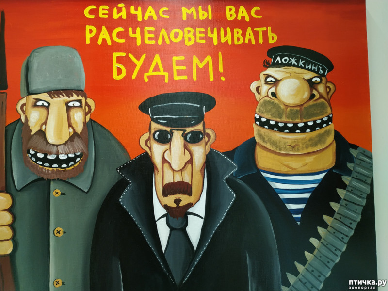 «Они профессионально развращали общество, которому обязаны были служить…»