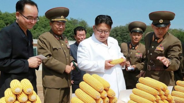 КНДР на грани массового голода: пока Ким Чен Ын хвастается ракетой, люди похищают детей и продают мочу