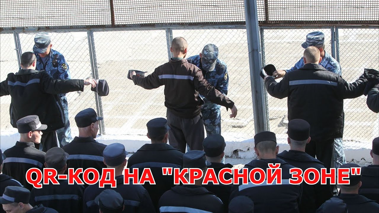 QR-КОД НА «КРАСНОЙ ЗОНЕ» (ВИДЕО)