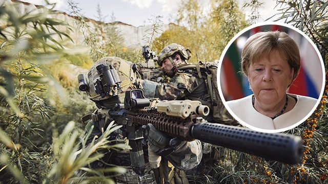 Меркель лично блокировала поставки вооружения Украине в рамках НАТО – Bild