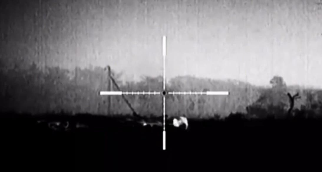 Американские военные заинтересовались видео стрельбы украинской снайперши по боевикам