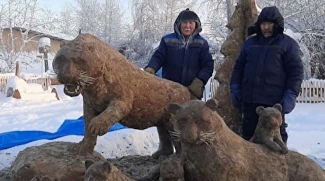 Не плюшевый мишка