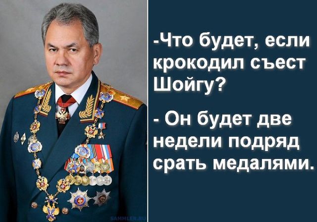 Картонные бронежилеты и защита танков из яичных лотков. НАПК поблагодарило Шойгу за разворовывание ресурсов армии РФ