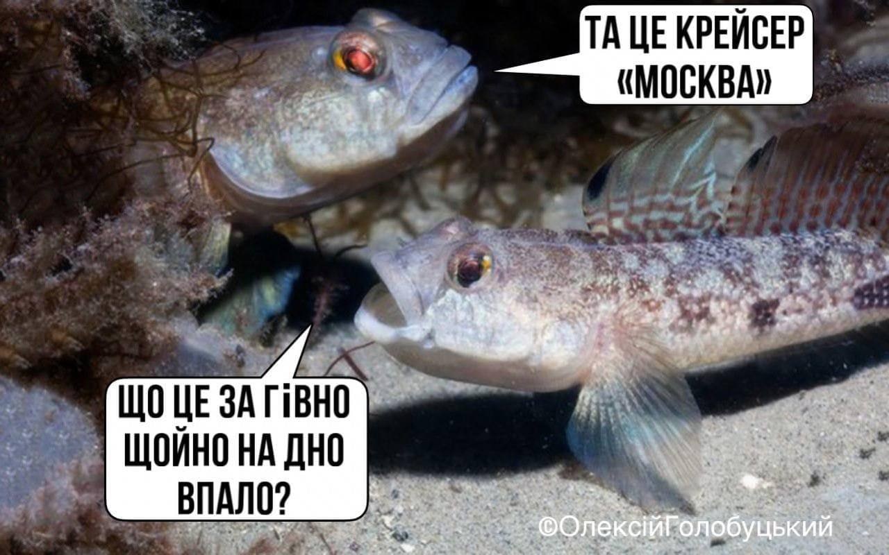 Послание “Москвы” (Часть 2)