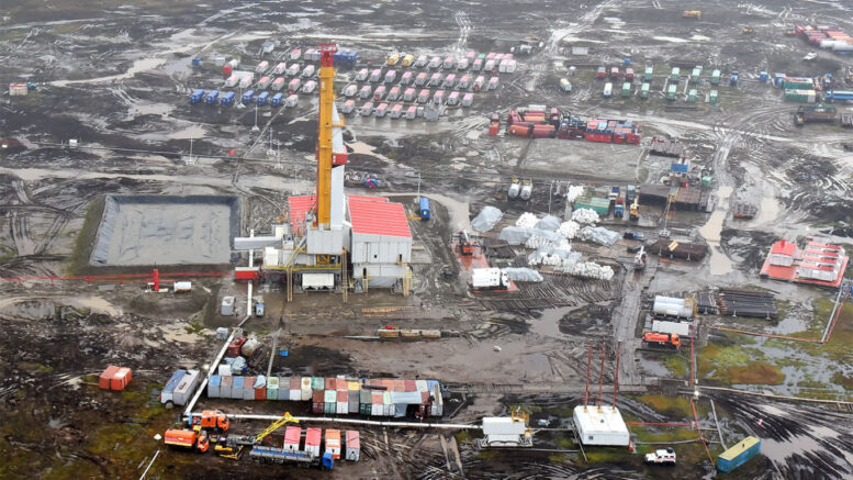 Три новости на ночь