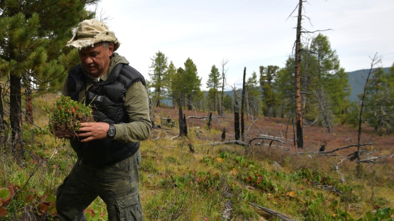 Мобилизация через банк