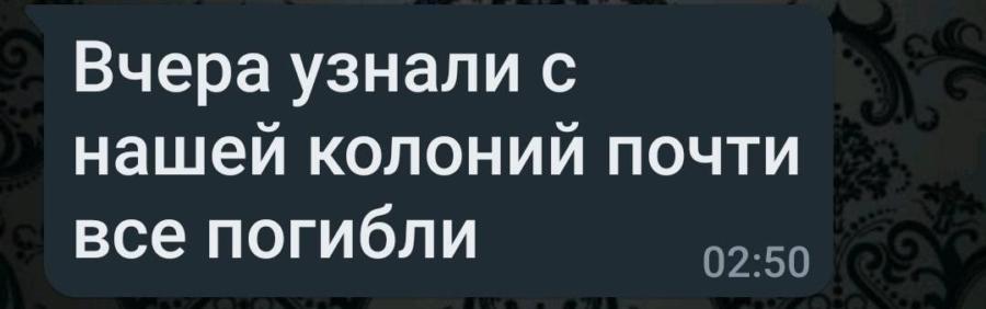 Родные зэков, завербованных в ЧВК Вагнер, начали массово жаловаться правозащитникам
