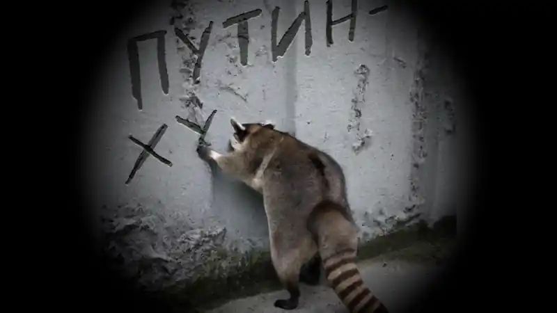 Почему Путин отменил свою любимую пресс-конференцию и при чем тут херсонский енот