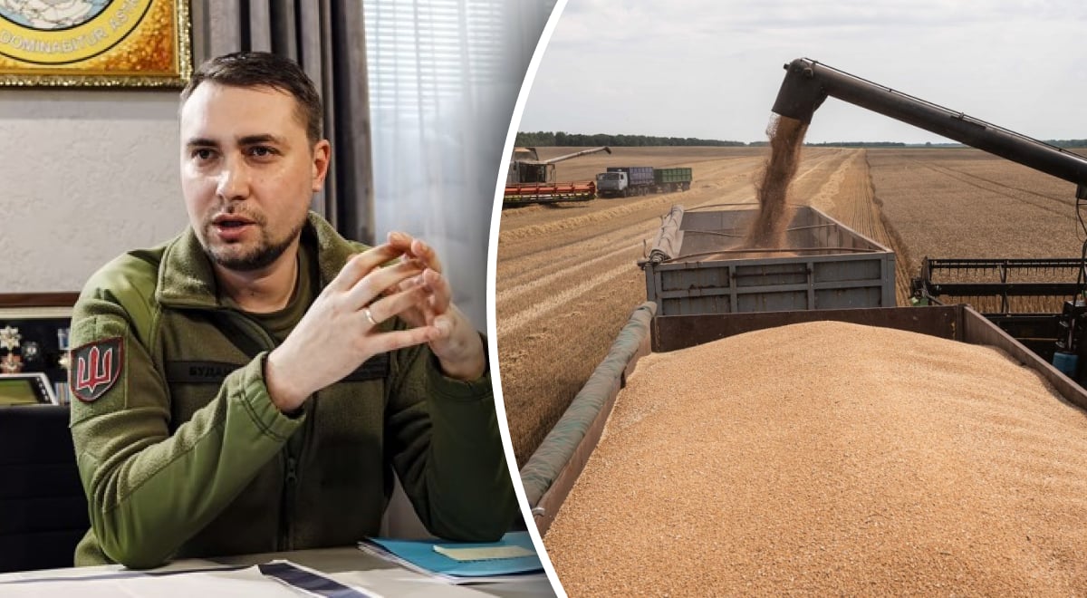 "Нравится это России или нет": Буданов заявил, что Украина снова начнет экспортировать зерно