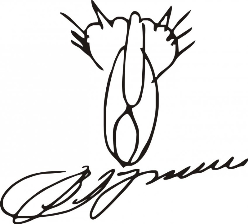 «О! Бензин кончился…»