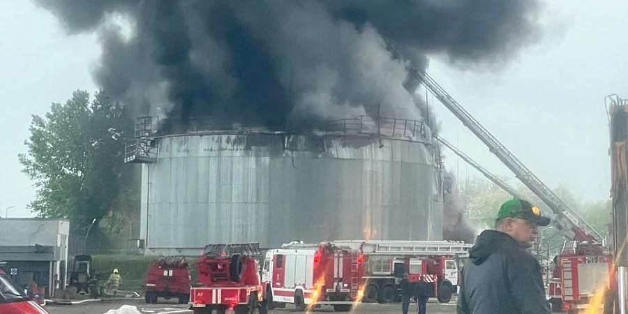 Новая реальность