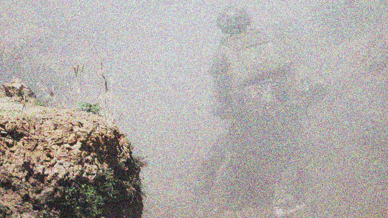 Элитные отходы (Часть 1)