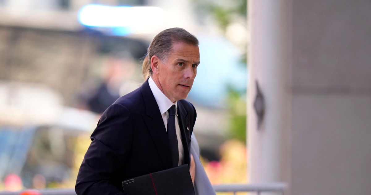 Хантер Байден вызвал сыновей Трампа на бой в клетке