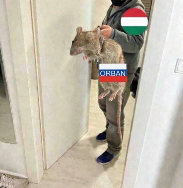 Орбан – все